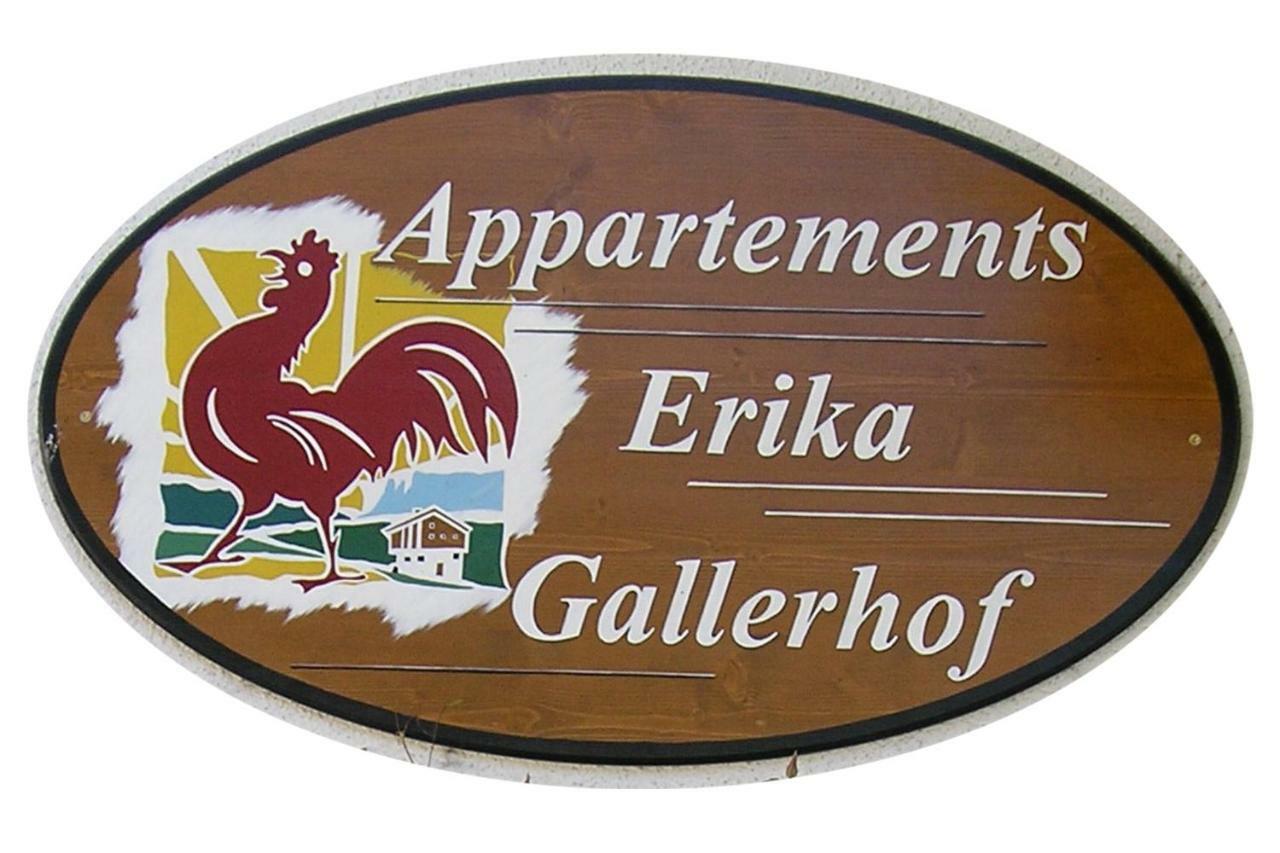 App. Erika Gallerhof Hotel San Candido Esterno foto